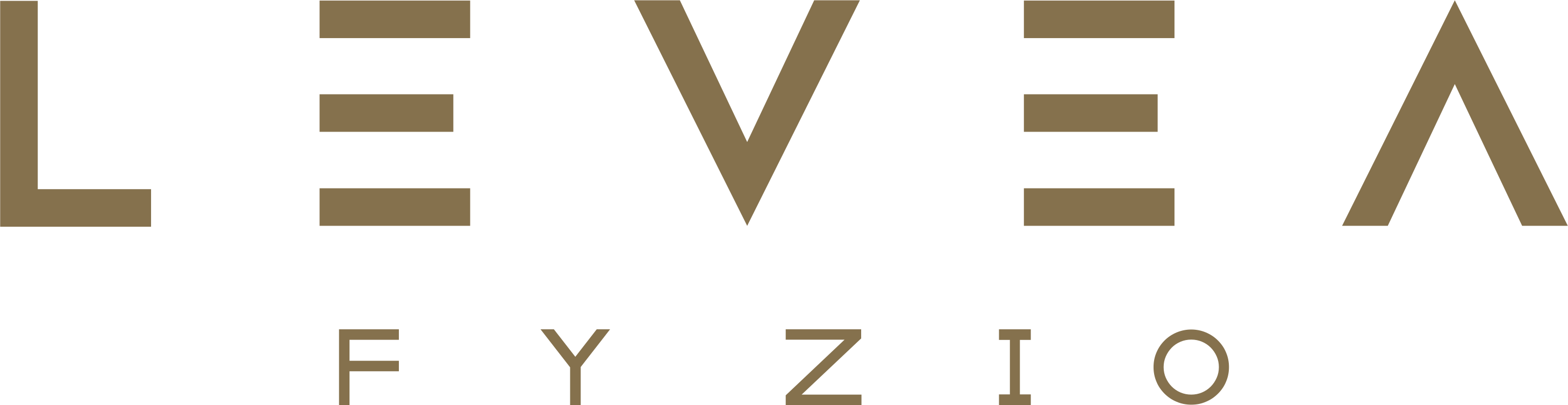 LEVEA FYZIO